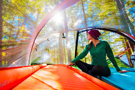 Image result for Link Leisure