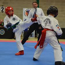 Image result for Leighton Buzzard Tae Kwon-Do Club