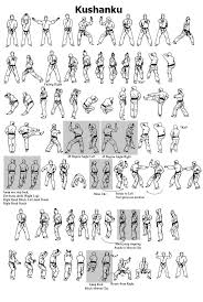 Image result for Karate Wado Kai