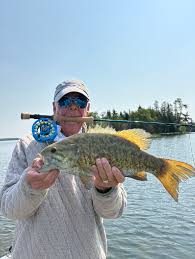 Image result for Kirkham and District Fly Fishers` Club