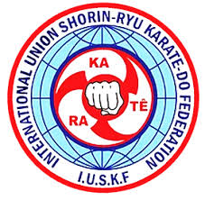 Image result for Ryuko Dojo