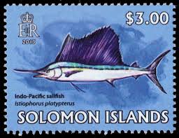 Image result for Istiophorus platypterus