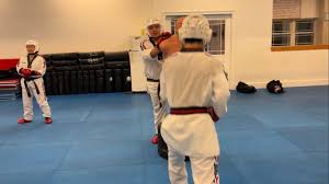 Image result for Swindon East TAGB Tae Kwon-Do