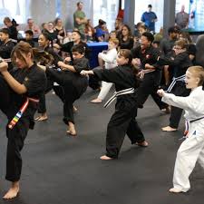 Image result for Edgewood Judo Club