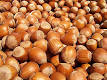 Nut (fruit) - Wikipedia, the free encyclopedia