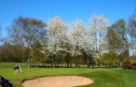Image result for Henley Golf Club