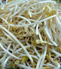 Image result for bean sprout