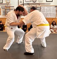 Image result for Budo Warrior Schools