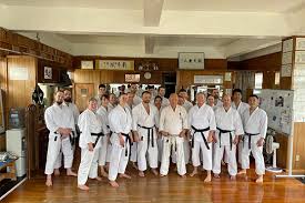 Image result for Imi Jishin Ryou karate do