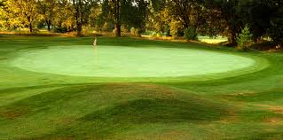 Image result for Warkworth Golf Club