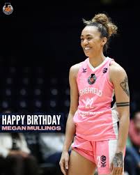 Image result for Sheffield Hatters Basketball Club