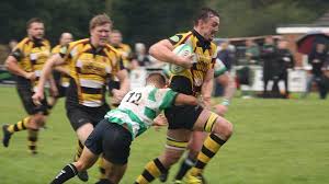 Image result for WOODRUSH RFC MINI and JUNIOR ~ & Senior