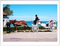 http://www.dreamcoachcarriages.com/assets/horse-drawn-carriage-ride-michiana.gif