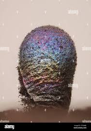 Attēlu rezultāti vaicājumam “Lamproderma ovoideum spores”