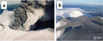 Image result for Wellington Whirlwinds Tc