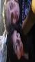 Image result for date mexican girls Abergavenny