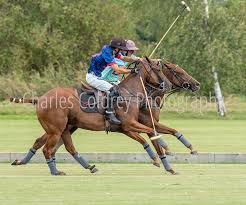 Image result for Cambridge and Newmarket Polo Club