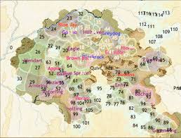 Image result for king of dragon pass