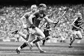 Image result for hurling