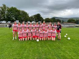 Image result for Ballerin Gaelic Athletic Club