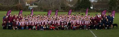 Image result for WOODRUSH RFC MINI and JUNIOR ~ & Senior