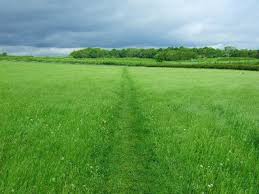 Image result for Barton Under Needwood Cc