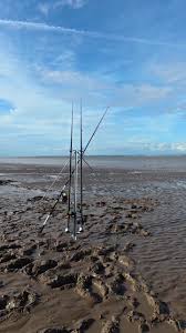 Image result for Bristol Channel Sea Fishing