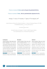 Attēlu rezultāti vaicājumam “Clavaria straminea”