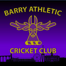 Image result for Pontypridd Cricket Club