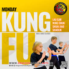 Image result for Kicking Dragon Kung Fu School, Belfast