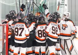 Image result for Team-Tigers Roller Hockey Club