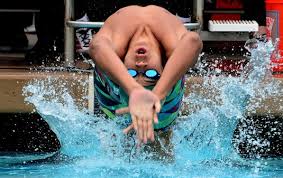 Image result for City of Preston Aquatics