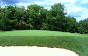 Image result for Winton Cricket Club