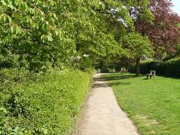 Image result for Radcliffe-On-Trent Cricket Club