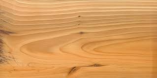 Attēlu rezultāti vaicājumam “Taxus wallichiana”