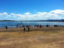 Image result for Ipswich Life Saving Club