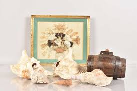 Image result for Aliger gigas