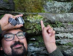 Attēlu rezultāti vaicājumam “Homalia trichomanoides sporophyte”