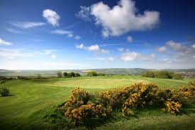 Image result for Lewes Golf Club