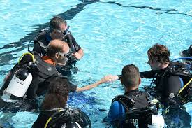 Image result for Stalybridge Snorkel Club