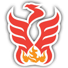 Image result for Phoenix Netball Club