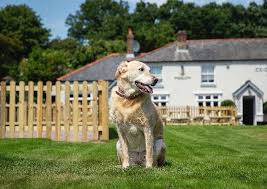 Image result for Curdridge Cricket Club