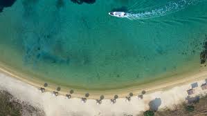 Image result for Palace Eagles Octopush Club