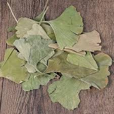 Attēlu rezultāti vaicājumam “Ginkgo biloba leaf”