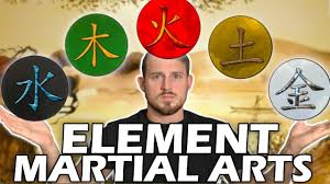 Image result for Full Element Mixed Martial Arts