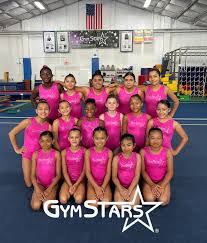Image result for Gym Stars