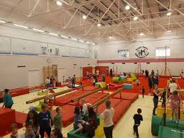 Image result for South Essex Gymnastics Club