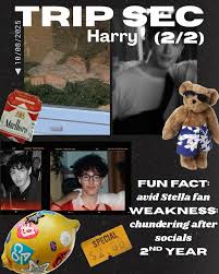 Image result for York University Surf Club