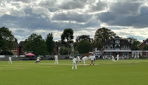 Image result for Mitcham Cricket Club