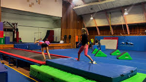 Image result for Hull High Flyers Gymnastics Club